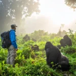 Uganda gorilla trekking rain season tips