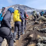 From Clothing to Mountaineering Gear – How to Pack for The Northern Circuit Route Kilimanjaro