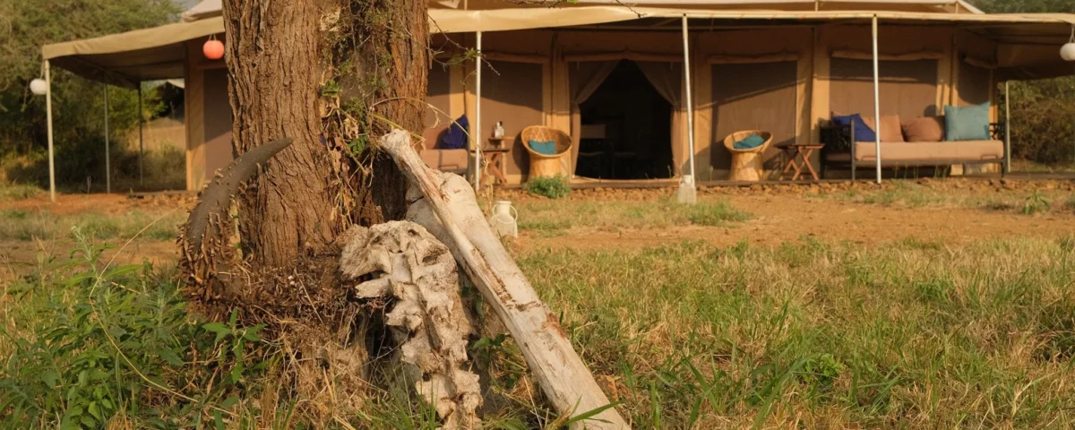 Whisper Tarangire Safari Camp