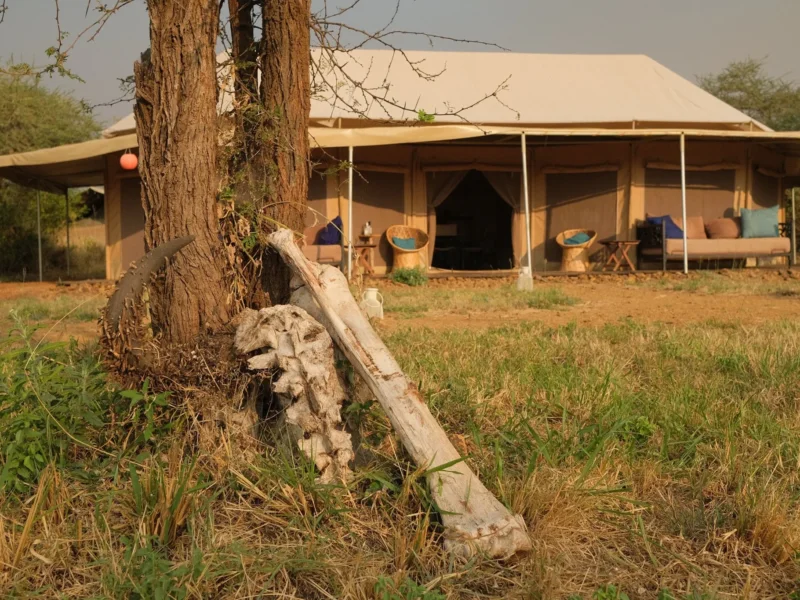Whisper Tarangire Safari Camp