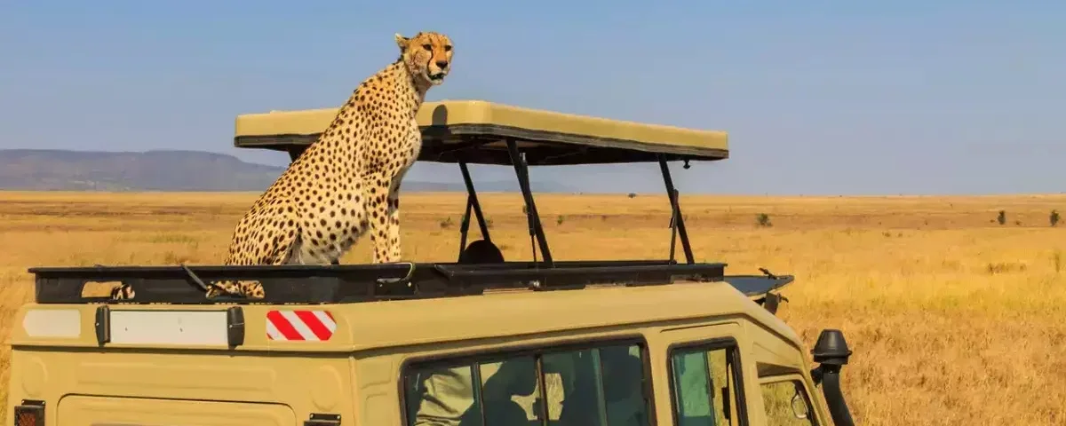 4 Incredible Natural Spectacles to Witness at the Dream Safari Destination- Serengeti