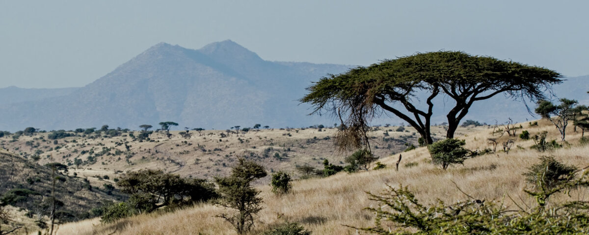 Tanzania National Parks – Where Adventure Meets Nature