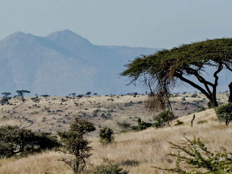 Tanzania National Parks – Where Adventure Meets Nature
