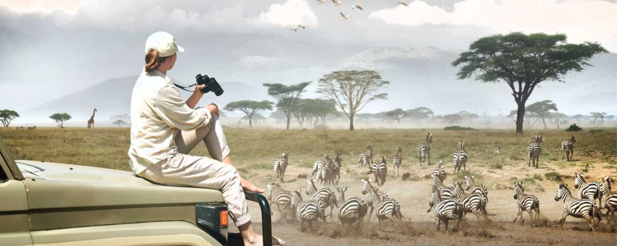 Photographer’s Paradise – Capturing the Beauty of a Tanzania Luxury Safari