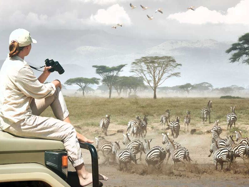 Photographer’s Paradise – Capturing the Beauty of a Tanzania Luxury Safari