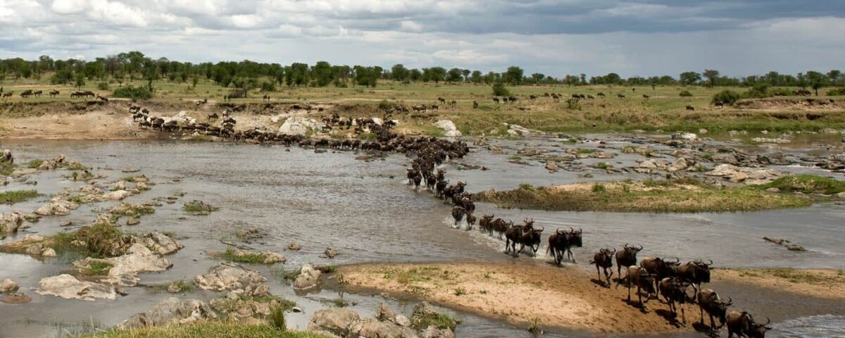4 Reasons Why the Dry Season Is the Best Time to Visit Tanzania