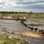 4 Reasons Why the Dry Season Is the Best Time to Visit Tanzania
