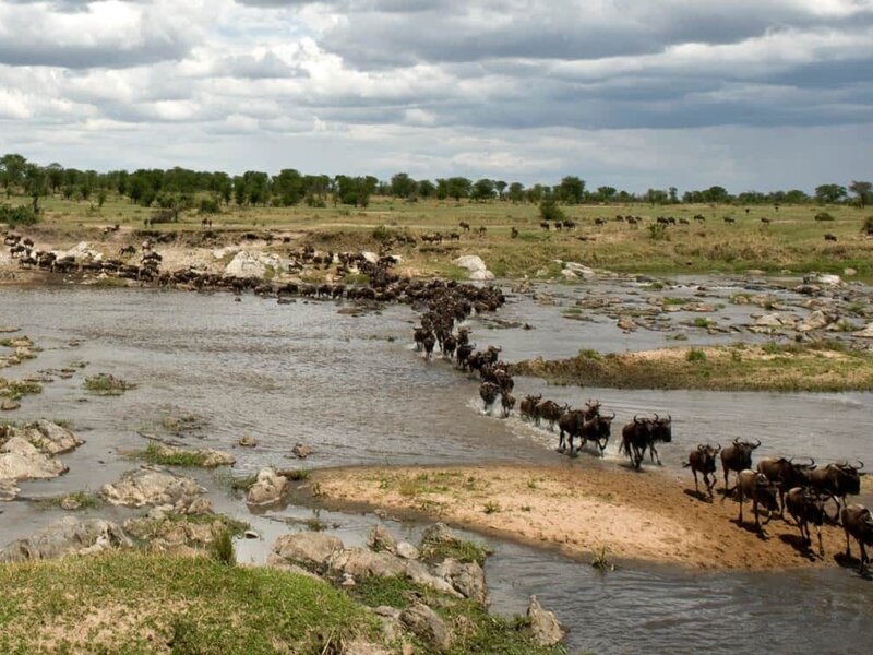 4 Reasons Why the Dry Season Is the Best Time to Visit Tanzania