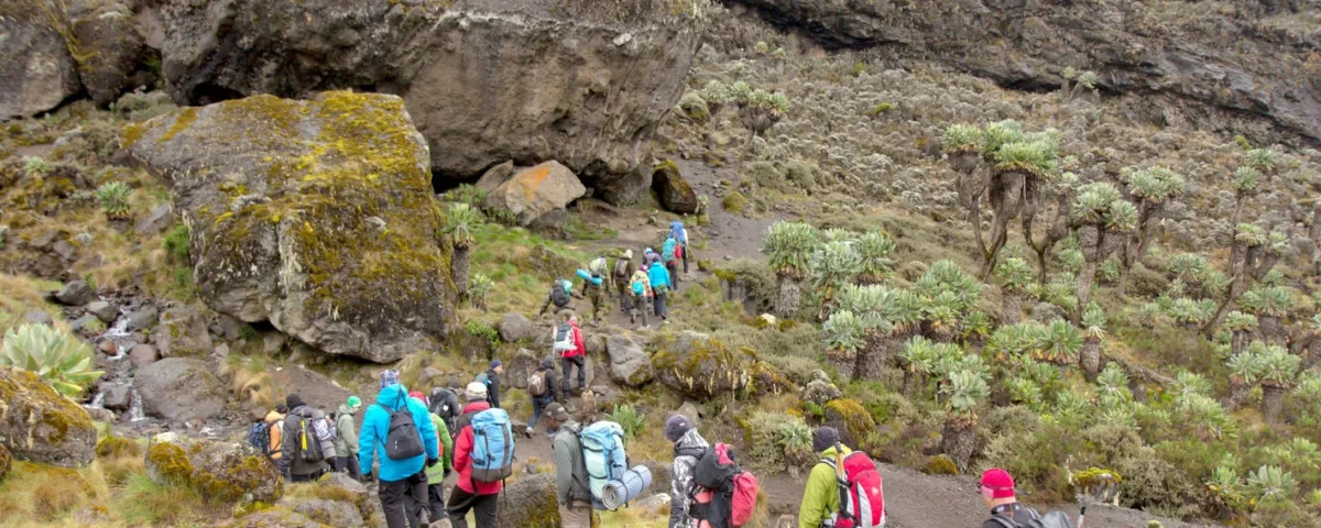 Kilimanjaro Climb Timing – How Timing Affects Cost, Crowds, and Success