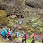 Kilimanjaro Climb Timing – How Timing Affects Cost, Crowds, and Success