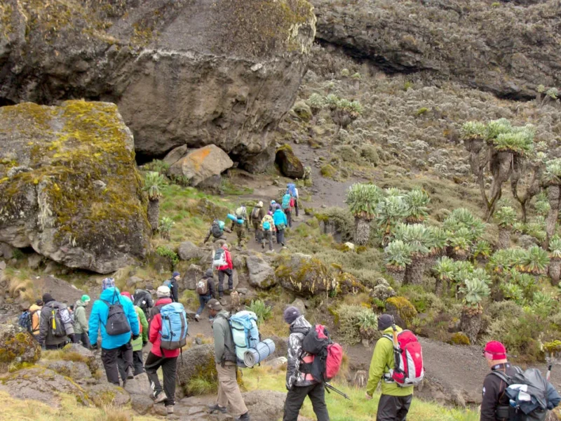 Kilimanjaro Climb Timing – How Timing Affects Cost, Crowds, and Success