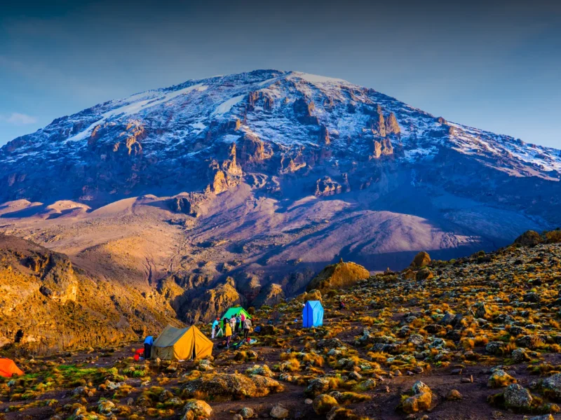 Kilimanjaro Altitude Guide – Where Attitude Is the Altitude