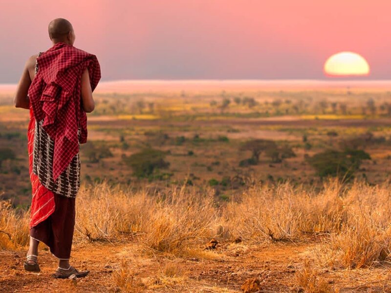 Protecting Tanzania Safaris