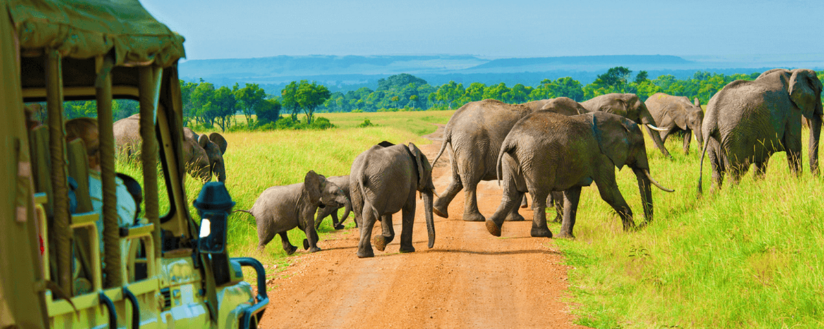 The Week Before Your Tanzania Safari – Top Most Steps to Prepare Yourself!
