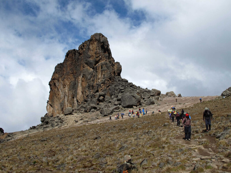 Climb the Northern Circuit and Explore Every Side of Kilimanjaro