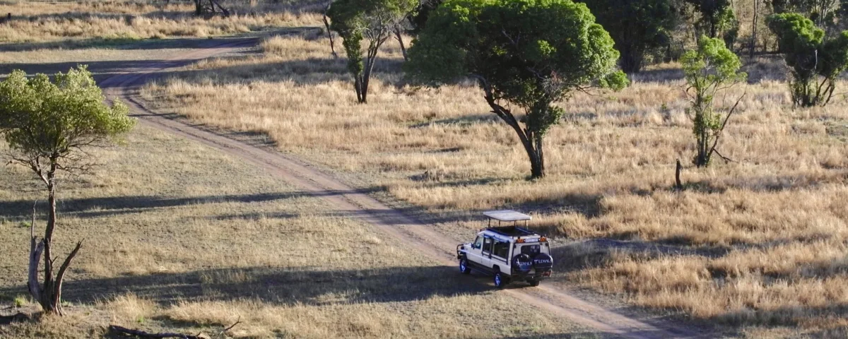 An Ultimate Guide To Top Things to See and Do In Tanzania 2025-26