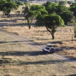 An Ultimate Guide To Top Things to See and Do In Tanzania 2025-26