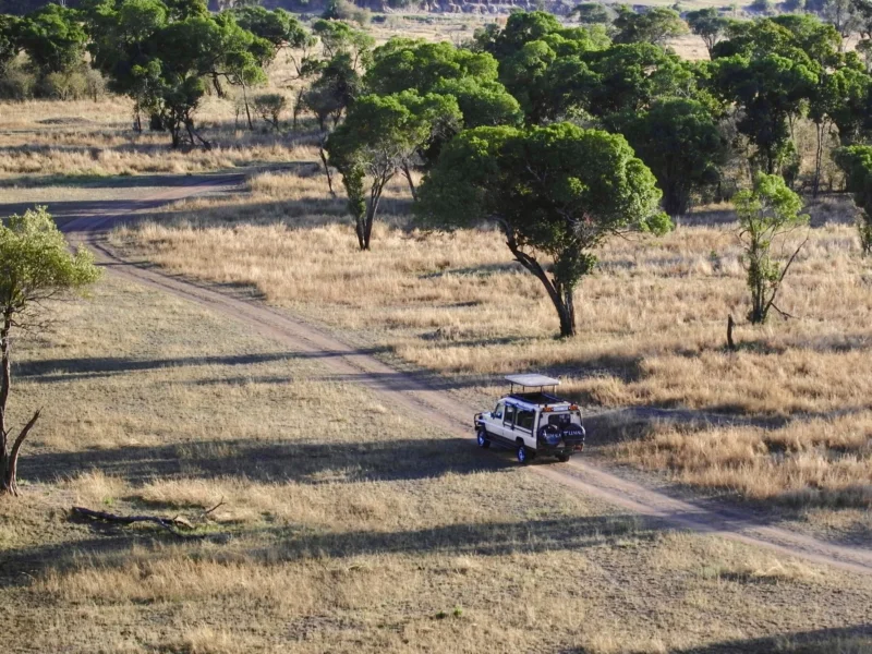 An Ultimate Guide To Top Things to See and Do In Tanzania 2025-26