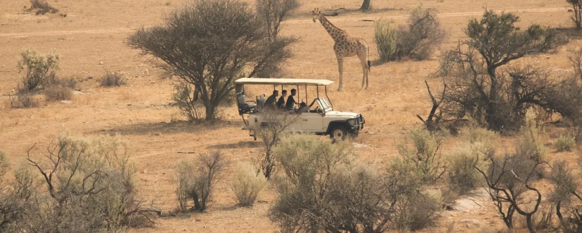 Budget for Tanzania Safaris: Plan Smart for an Affordable African Adventure