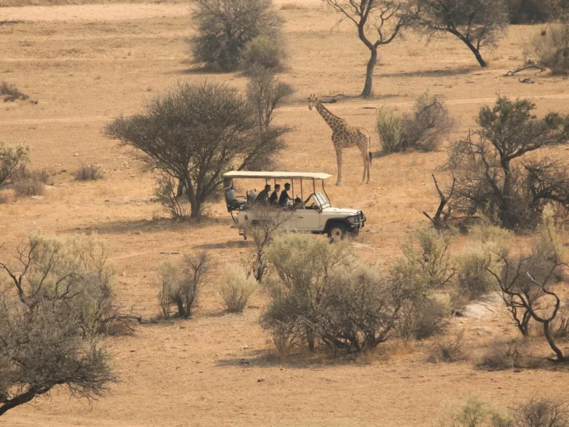 Budget for Tanzania Safaris: Plan Smart for an Affordable African Adventure