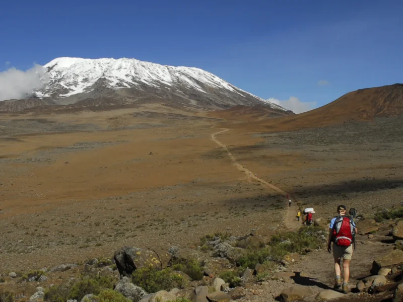 Kilimanjaro Park Fees – How Route and Duration Affect Your Climb Cost