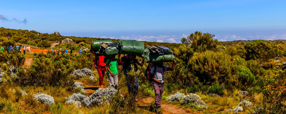 Off Beaten Path – Why Lemosho Route Is the Best Way to Climb Kilimanjaro