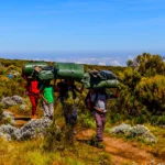 Off Beaten Path – Why Lemosho Route Is the Best Way to Climb Kilimanjaro