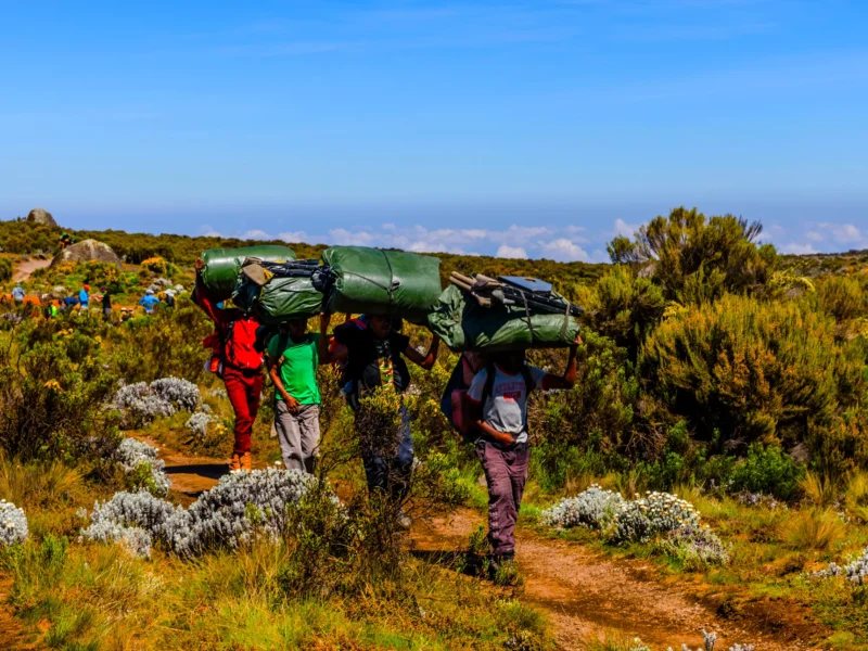 Off Beaten Path – Why Lemosho Route Is the Best Way to Climb Kilimanjaro