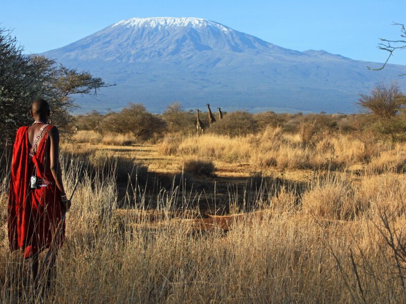 Learn About the Maasai Tribe – 10 Interesting Tanzania Cultural Facts!