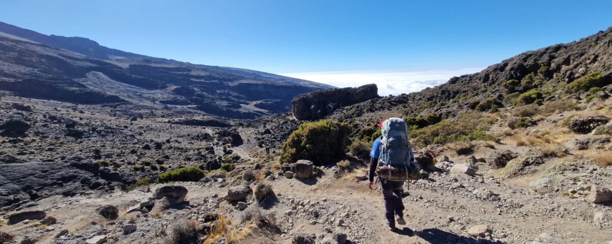 Lemosho vs Machame Route – Which One Is Right for Your Kilimanjaro Adventure?