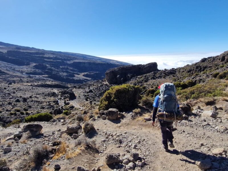 Lemosho vs Machame Route – Which One Is Right for Your Kilimanjaro Adventure?