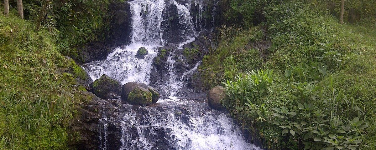 What to Do in Moshi in 2026 – From Coffee Tours to Waterfalls and Safari Adventures