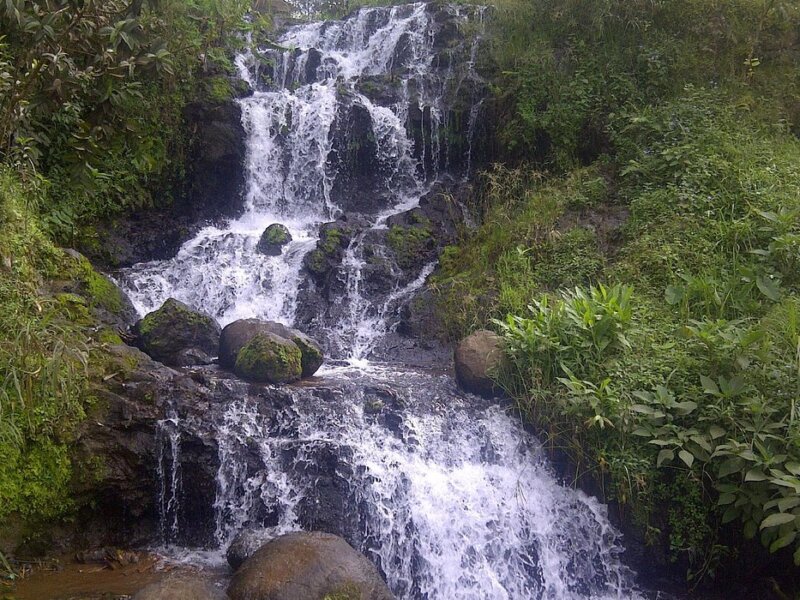 What to Do in Moshi in 2026 – From Coffee Tours to Waterfalls and Safari Adventures
