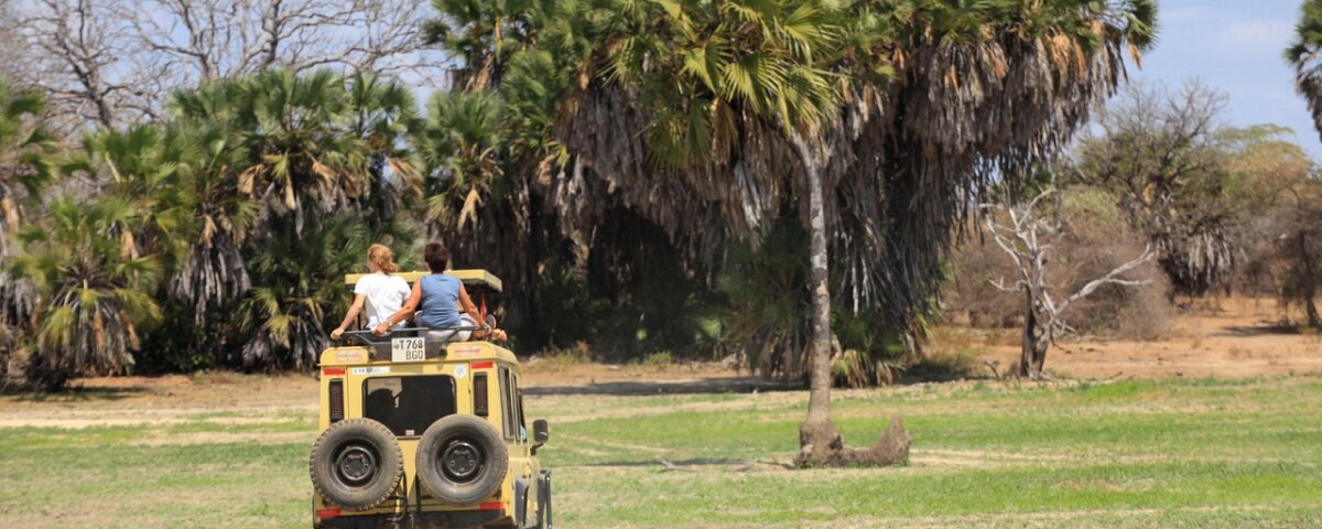 Private Safari vs Group Safari – Which One Is the Best?
