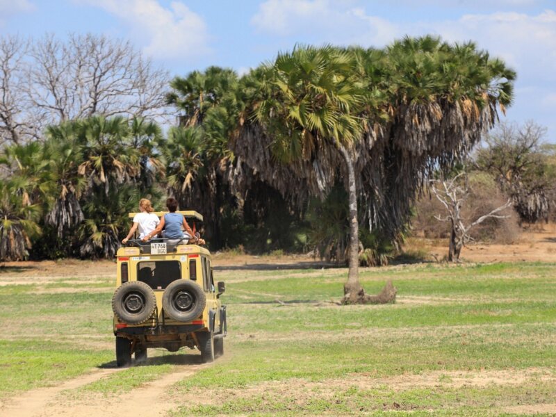 Private Safari vs Group Safari – Which One Is the Best?