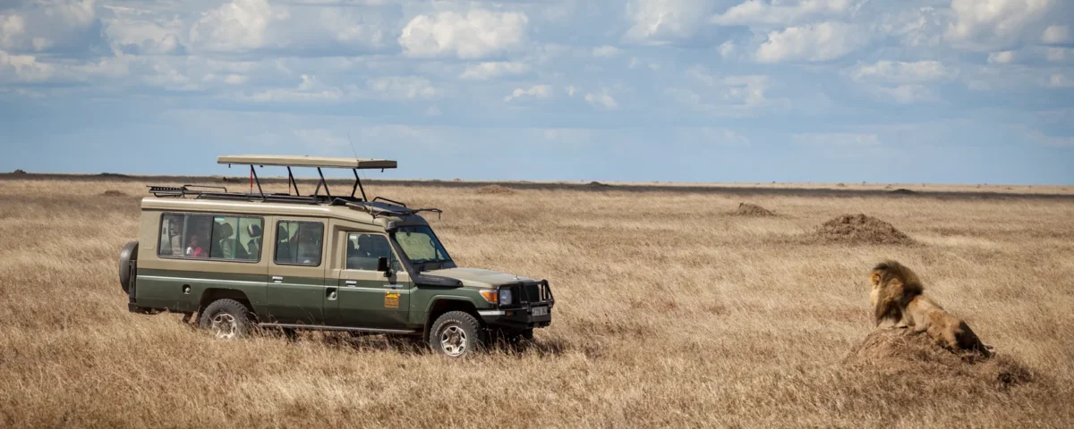 Tanzania Safari Cost