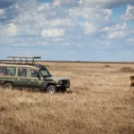 Tanzania Safari Cost