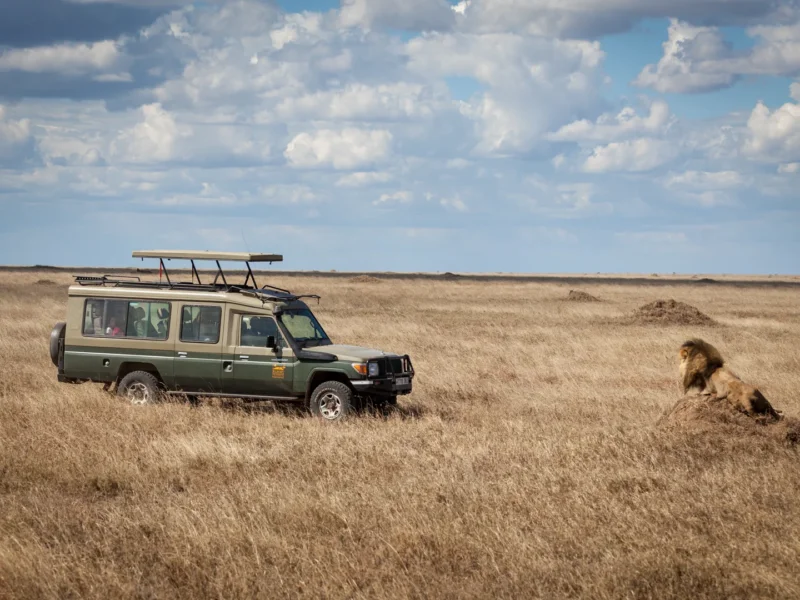 Tanzania Safari Cost