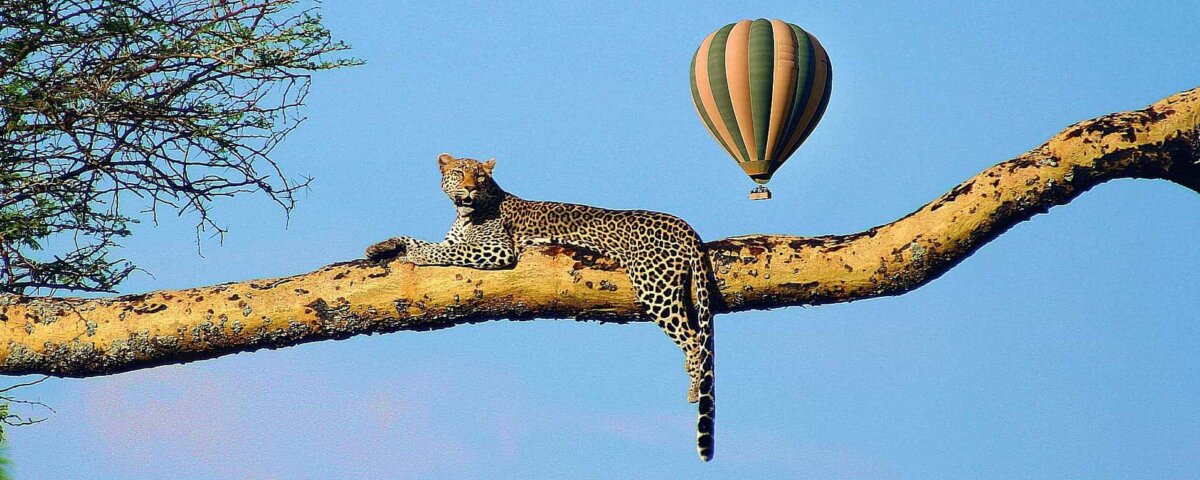 Tanzania Travel Experiences – Top 9 Unique Adventures