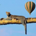 Tanzania Travel Experiences – Top 9 Unique Adventures