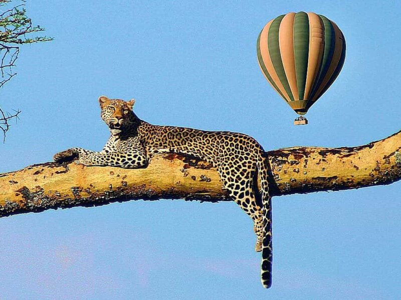 Tanzania Travel Experiences – Top 9 Unique Adventures