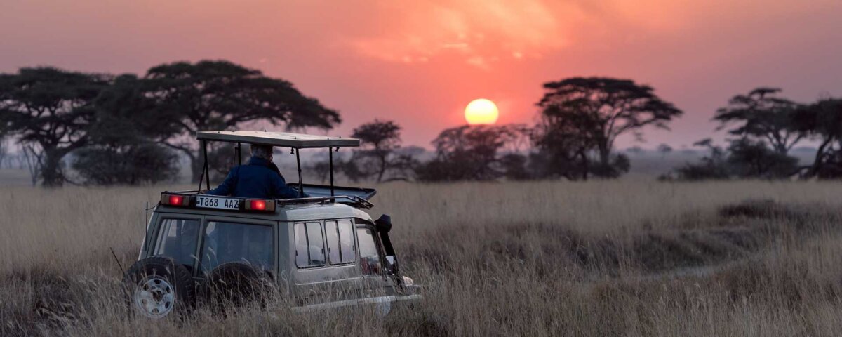 Tanzania Safari – Northern vs Southern: Which One Fits You Best?