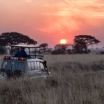 Tanzania Safari – Northern vs Southern: Which One Fits You Best?