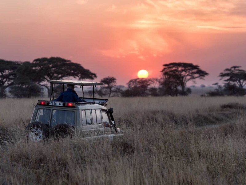 Tanzania Safari – Northern vs Southern: Which One Fits You Best?
