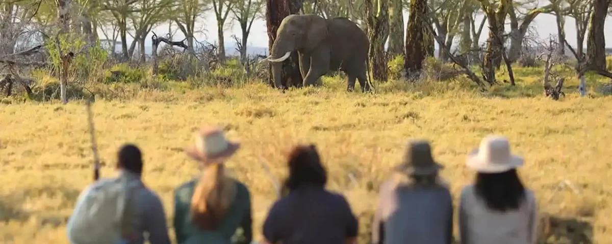 Tanzania Safari Conservation