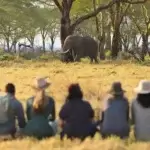 Tanzania Safari Conservation