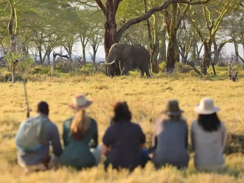Tanzania Safari Conservation