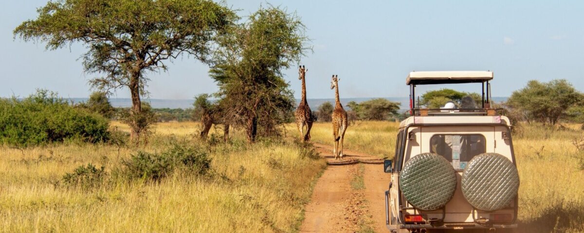 Tanzania Safari Trip
