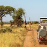 Tanzania Safari Trip