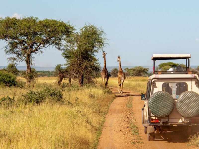 Tanzania Safari Trip